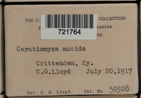 Image Associated With the Occurence